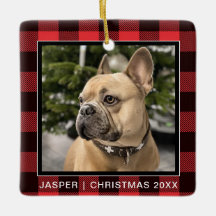 Xadrez Vermelha| Natal do Cachorro Familiar