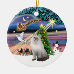 Ornamento De Cerâmica Xmas Magic - Gato de Ragdoll (creme azul)