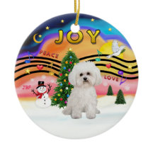Xmas Music 2 - Bichon Frise 2