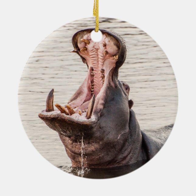 Ornamento De Cerâmica Yawning Hippo (Traseira)