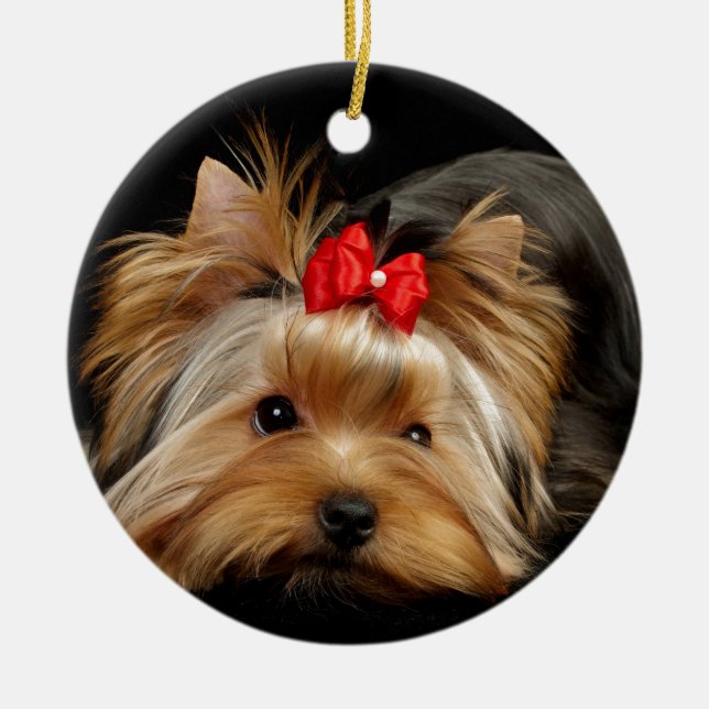 Ornamento De Cerâmica Yorkie bonito (Frente)
