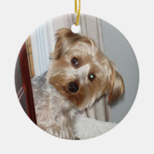 Ornamento De Cerâmica Yorkie espreitando ao redor do canto