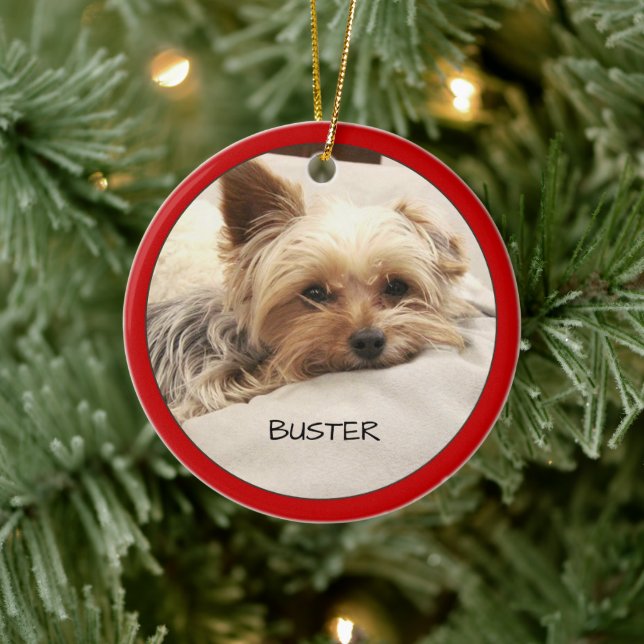 Ornamento De Cerâmica Yorkie Terrier Dog Personalizado  (Árvore)