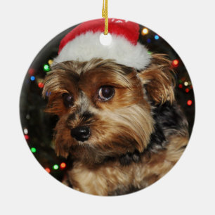 Ornamento De Cerâmica Yorkshire terrier