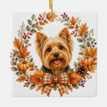Yorkshire Terrier Outono