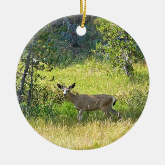 Ornamento De Cerâmica Young Buck em Yosemite, CA (Frente)