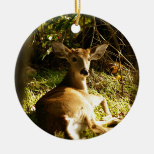Ornamento De Cerâmica Young Buck Ornament