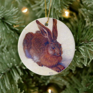 Ornamento De Cerâmica Young Hare de Albrecht Durer, Renaissance Fine Art