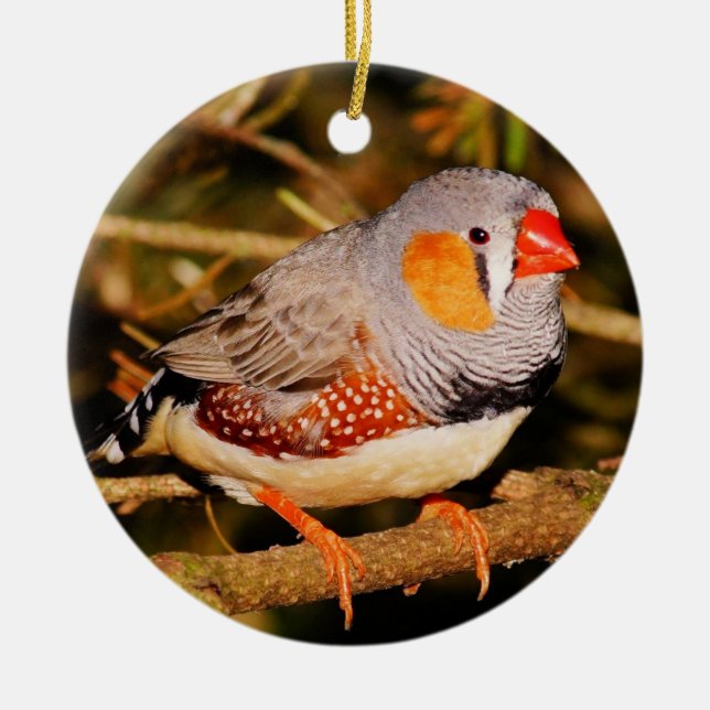 Ornamento De Cerâmica Zebra Finch (Frente)