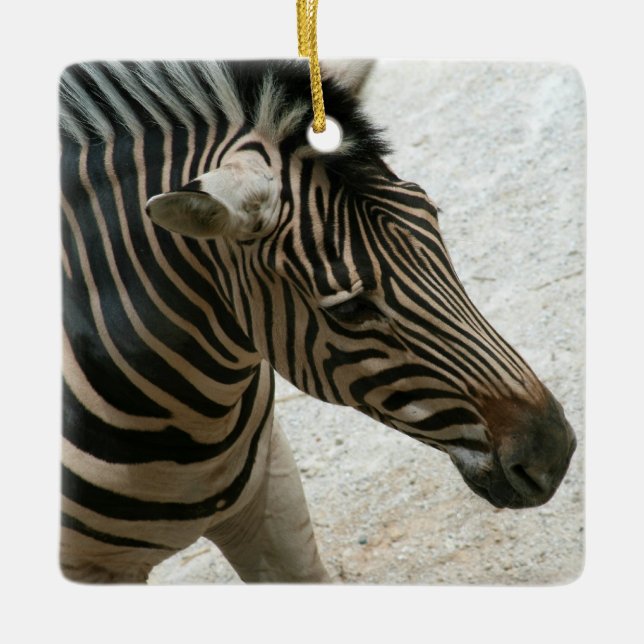 Ornamento De Cerâmica Zebra Ornament (Frente)