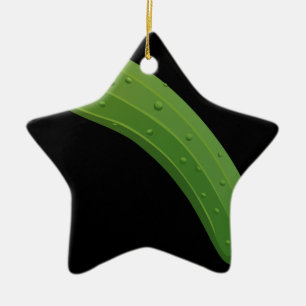 Ornamento De Cerâmica Zucchini Comida
