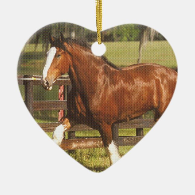 Ornamento de Clydesdale (Frente)