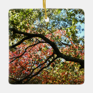 Ornamento de Cores de outono