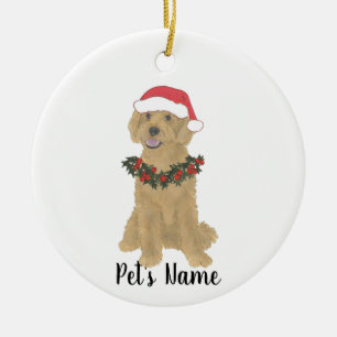 Ornamento de Doodle Personalizado (Ouro Red Aprico