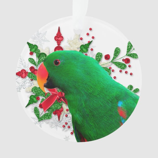 Ornamento de Espírito de Natal Eclectus (Frente)