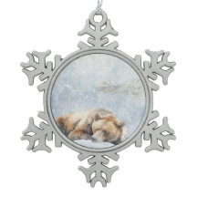 Belos Animais De Floresta Dormindo Urso