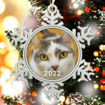 Foto de Família de Pet Personalizada com Texto