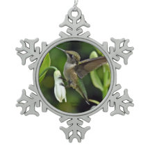 Hummingbird