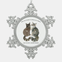 Humor envelhecido para amigos amantes de gatos mar