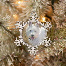 Ornamento de Árvore de Natal do Pet Photo Template