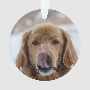 Ornamento de Feriado de Cão Personalizado Animai