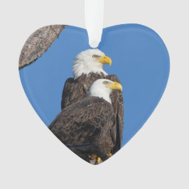 Ornamento de feriados do logotipo M15 e F23