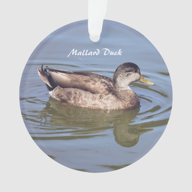 Ornamento de Foto de Pato Mallard (Frente)
