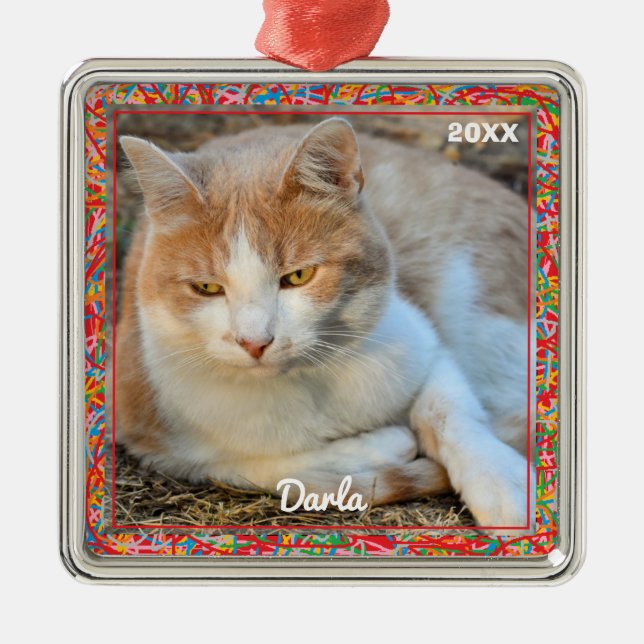 Ornamento de Foto - HAMbyWG (Frente)