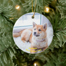 Ornamento de Fotografias de Cachorro Personalizado
