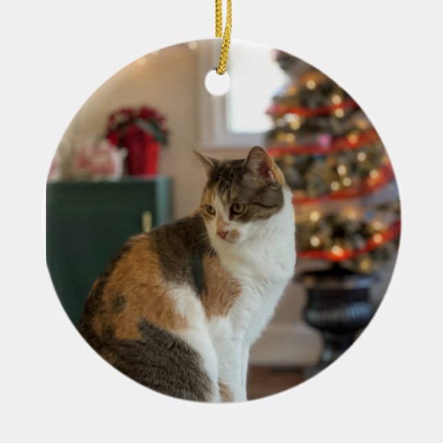 Ornamento de Gatinho de Natal (Frente)