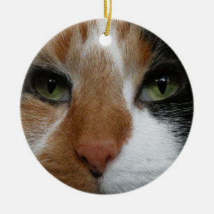 ornamento de gato Calico