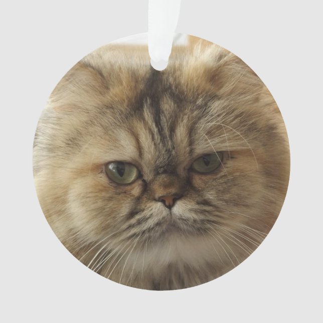 ORNAMENTO DE GATO DE FOTO PET PERSONALIZADO (Frente)