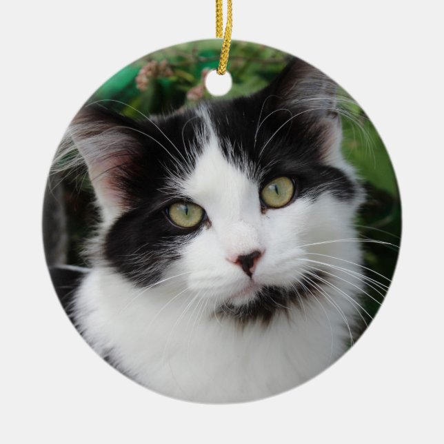 ornamento de gato Tuxedo (Frente)