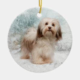 Ornamento de Havanese