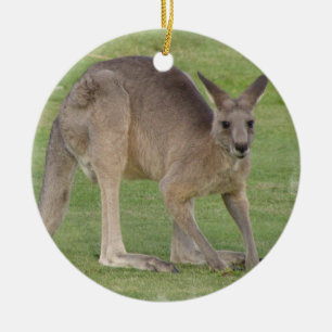 Ornamento de Kanagaroo