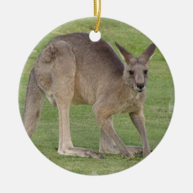 Ornamento de Kanagaroo (Frente)