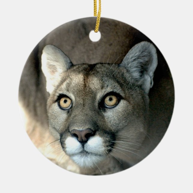 Ornamento de Kaya (Frente)