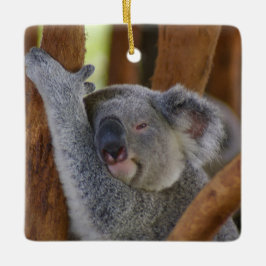 Ornamento de Koala, cerâmico, em Cute