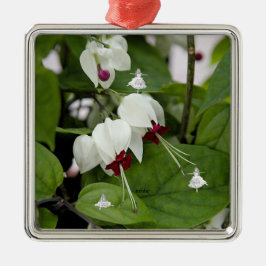 Ornamento de Lâminas Brancas Láteas