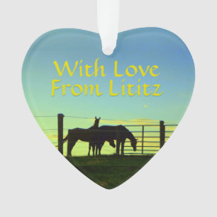 Ornamento de Lititz! Vida da fazenda! Voltado logo