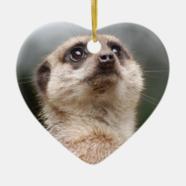 Ornamento de Meerkat (Frente)