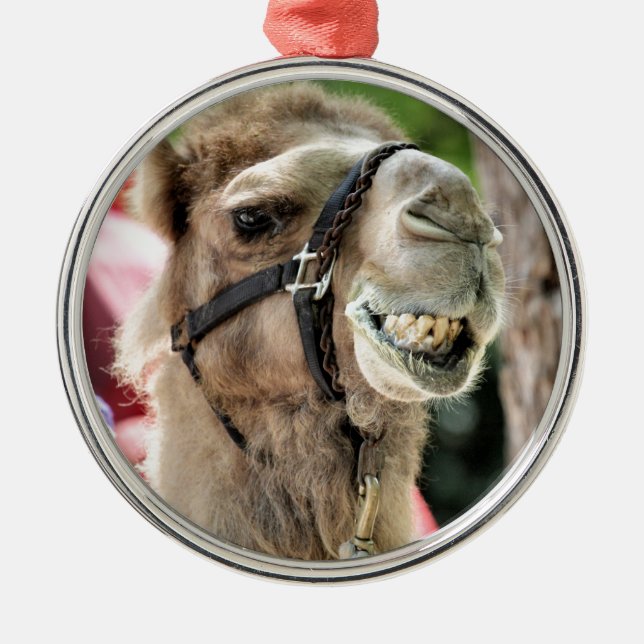 ORNAMENTO DE METAL  (Frente)