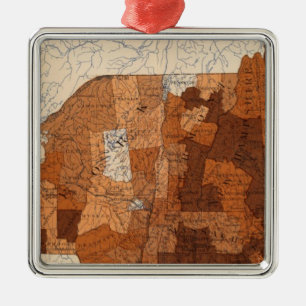 Ornamento De Metal 107 Influenza NY, NJ, New England