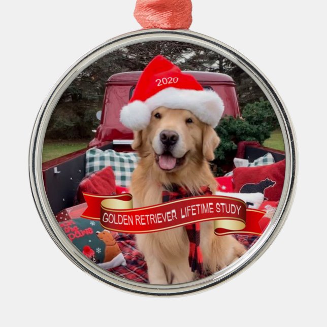 Ornamento De Metal 3000strong 2020 Ornament Round Pewter (Frente)