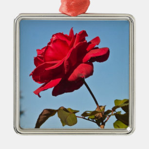 Ornamento De Metal A flor completa aumentou na bacia cor-de-rosa,