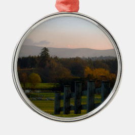 Ornamento De Metal A Irlanda é bonita