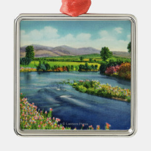 Ornamento De Metal A vista do rio de Israel & do presidencial soou