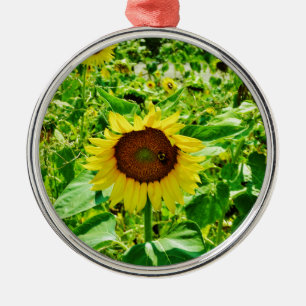 Ornamento De Metal Abelha de girassol amarelo