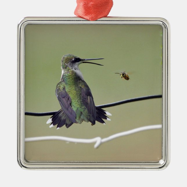 Ornamento De Metal Abelha do colibri & do mel (Frente)