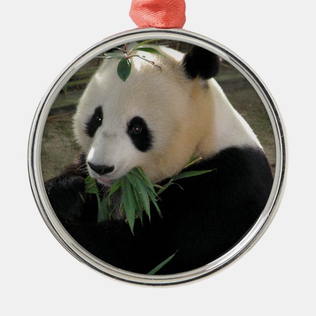 Ornamento De Metal Abraços de Panda (Frente)